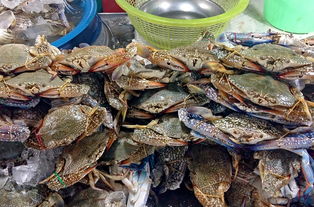 孕妇吃火锅必须要蘸料吗能吃芝麻酱吗 孕妇吃火锅必须要蘸料吗能吃芝麻酱吗